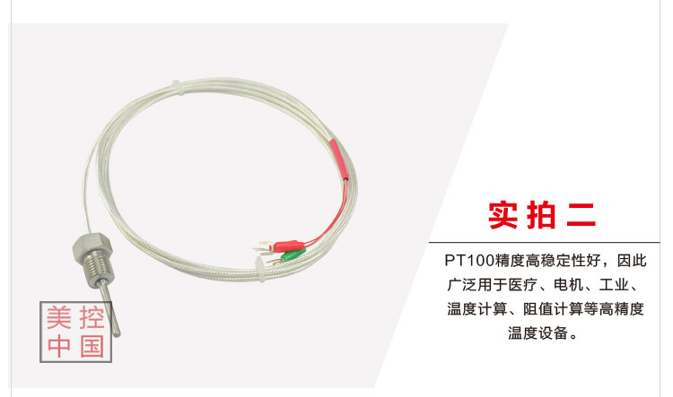 PT100引线式热电阻