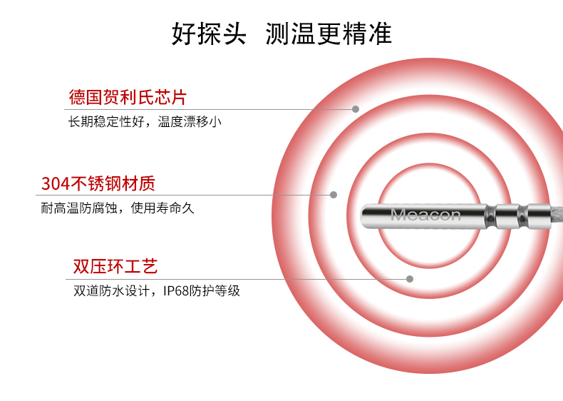 引线式温度传感器贺利式探头