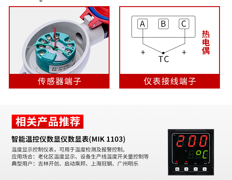 铠装温度传感器温度模块